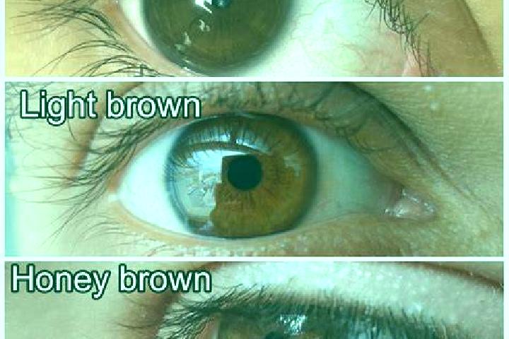 Amazon Beauties slot game