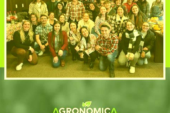 Crazy Chameleons slot game