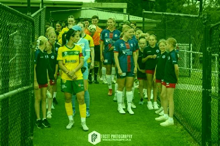 Crystal Lotuses slot machine