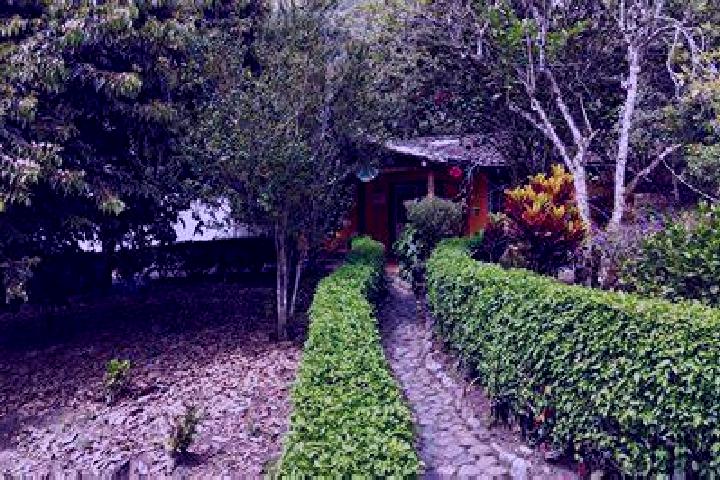 Elementals Journey slot