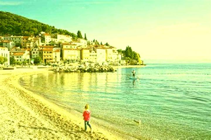 Fish Hunter King slot