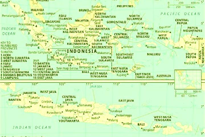 Fish (Twist Gaming) slot machine