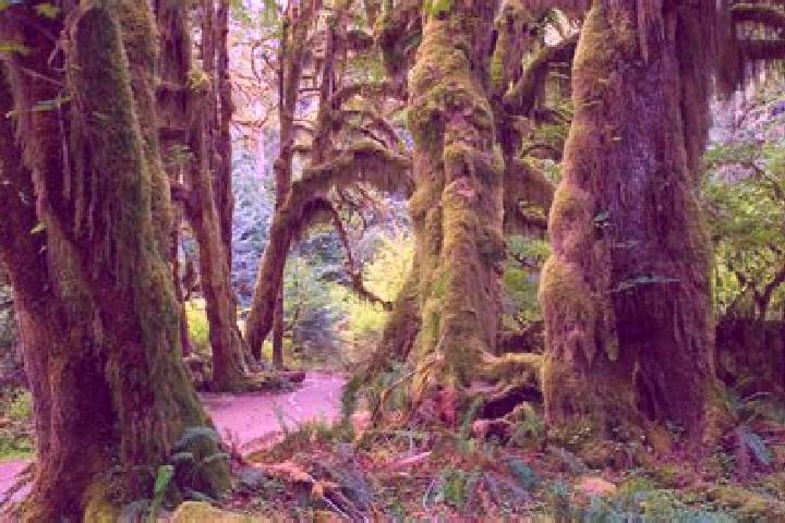 Gemstone Jam slot