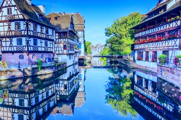 Glided Rhino slot machine