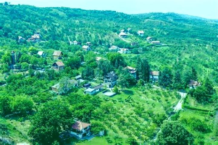 Guardian of Gold: Hold & Win online slot