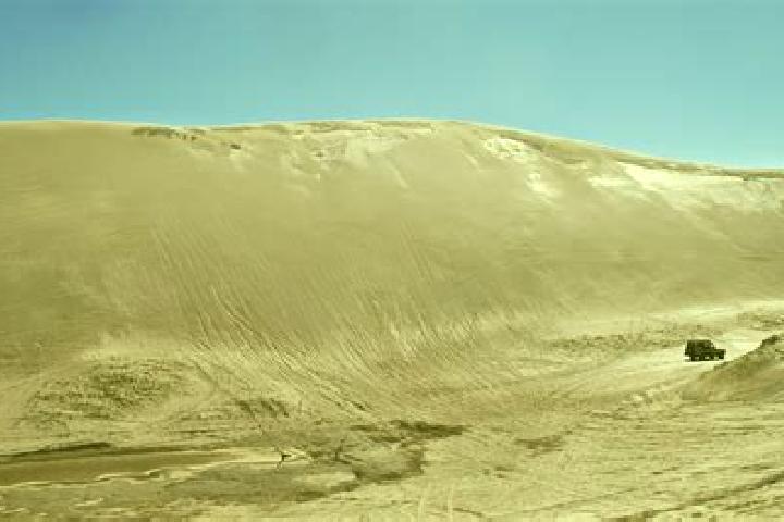 Ink & Ivory slot