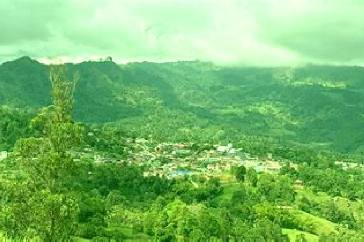 Luna online slot