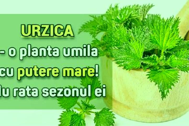 Madame Estelle slot game