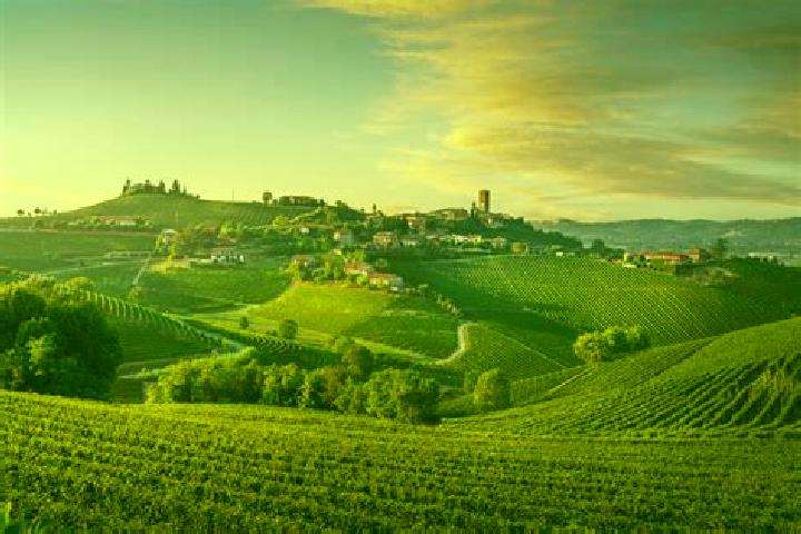 Neon Fruit Cityscape slot