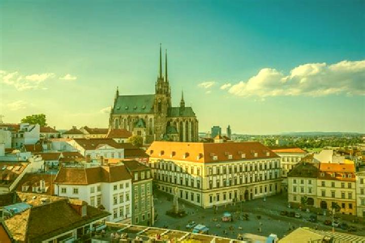 Paddy Paws 2000 slot