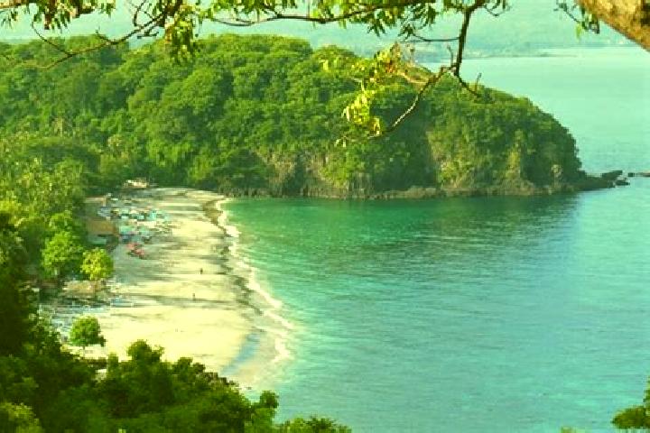 Shark Casher slot