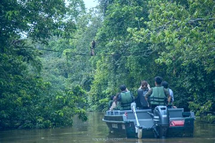 Super Royal Straight Flush online slot