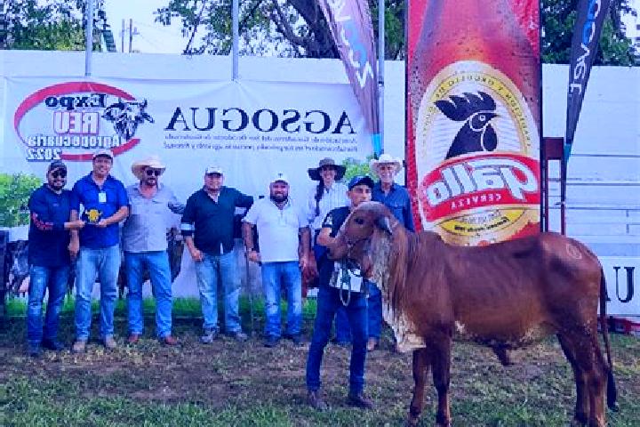To The Moon online slot