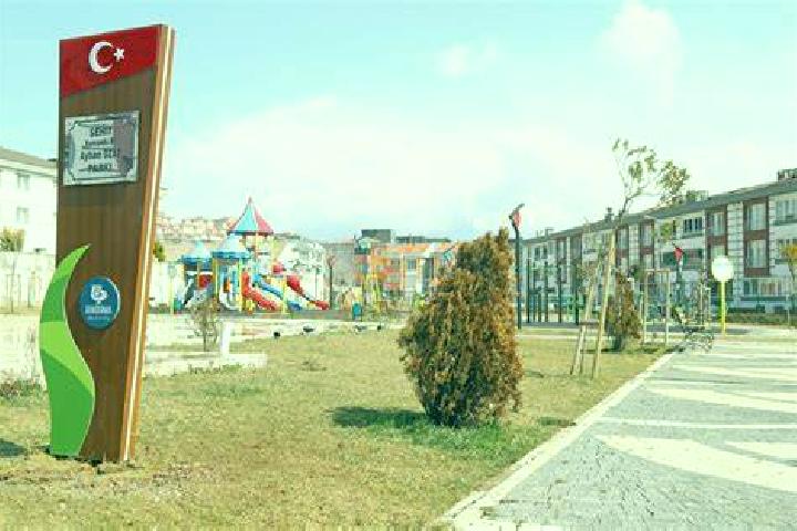 Wild Flips on Top slot