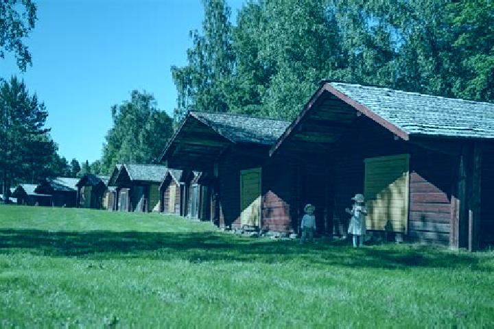 Wild Jack (Wazdan) slot machine