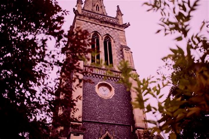 Wild Rescue slot