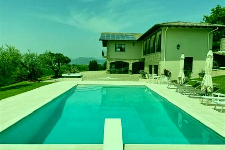 Wild Sevens 1 Line slot